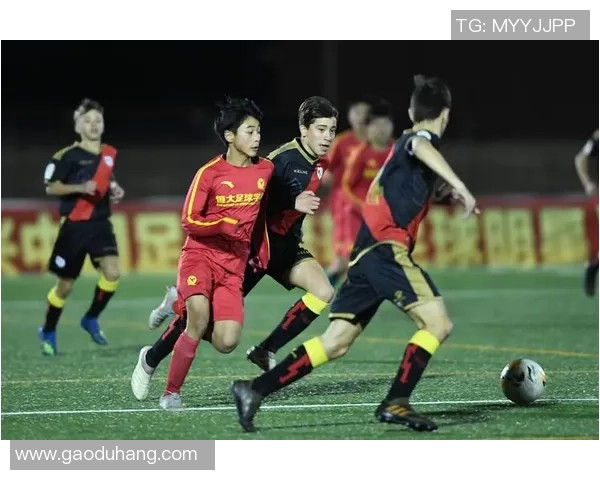 深圳足球队引领最新足球节奏TOP10榜单全景分析